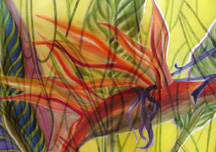 bird of paradise